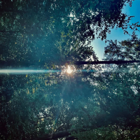 Meine Muse (Rework For The Düsseldorf Düsterboys - Edit) (Single)