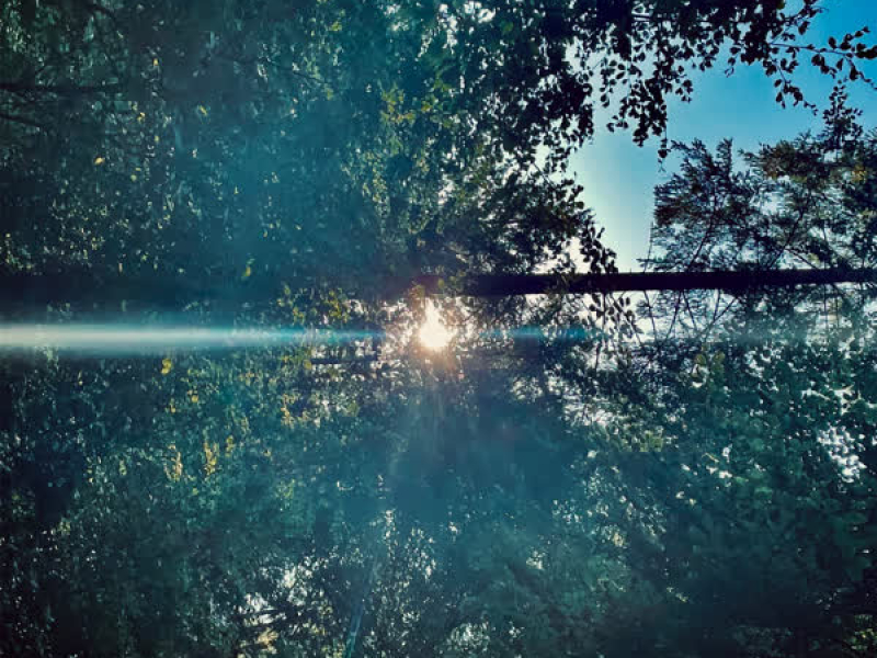 Meine Muse (Rework For The Düsseldorf Düsterboys - Edit) (Single)