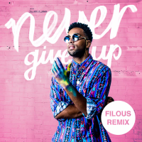 Never Give Up (filous Remix) (Single)