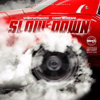 Slow Down (Single)