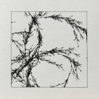 Án tillits (Single)