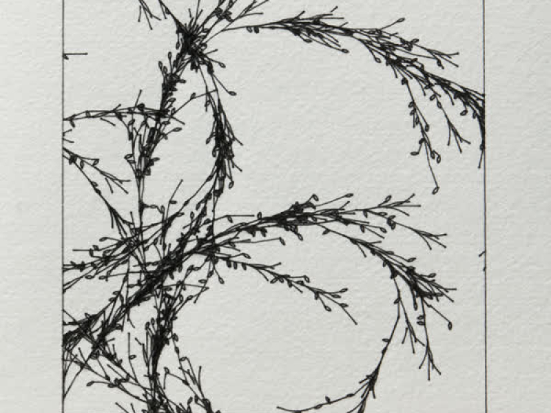 Án tillits (Single)