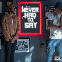 Never Had To Say (feat. Ice Meez)
