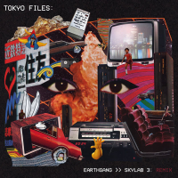 Tokyo Files (Skylab 3 Remix) (Single)
