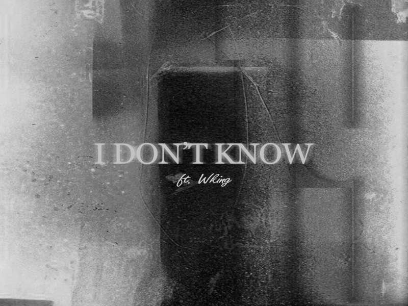 I Don't Know (Single)