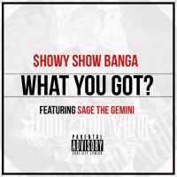 What You Got? (feat. Sage The Gemini)