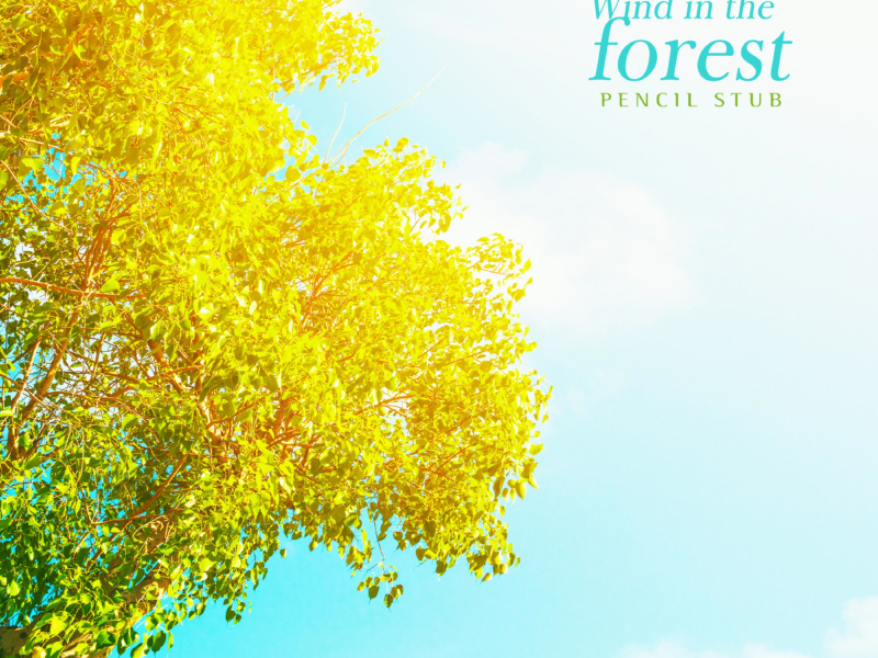 Wind In The Forest (Single)