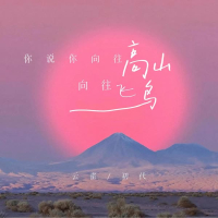 你说你向往高山向往飞鸟 (Single)