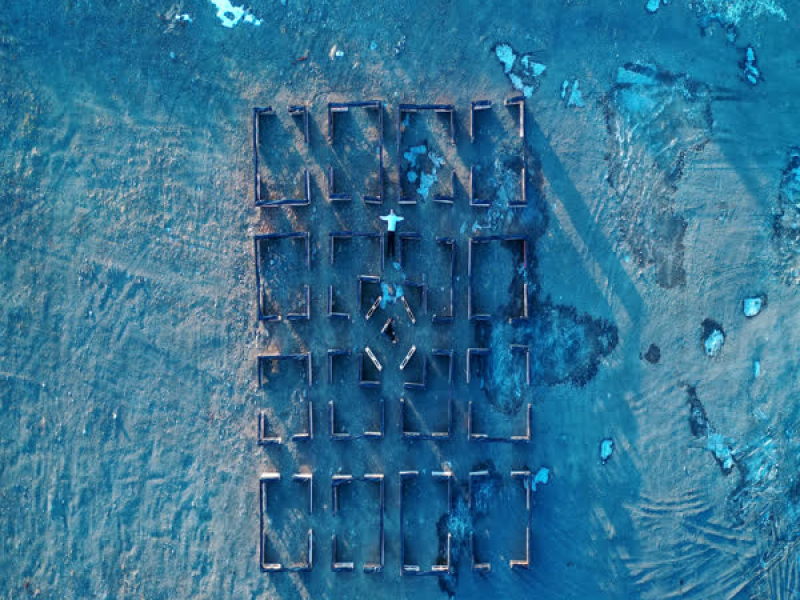 Shelter (Unplugged) (Single)