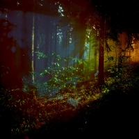 Where the Light Falls (Single)