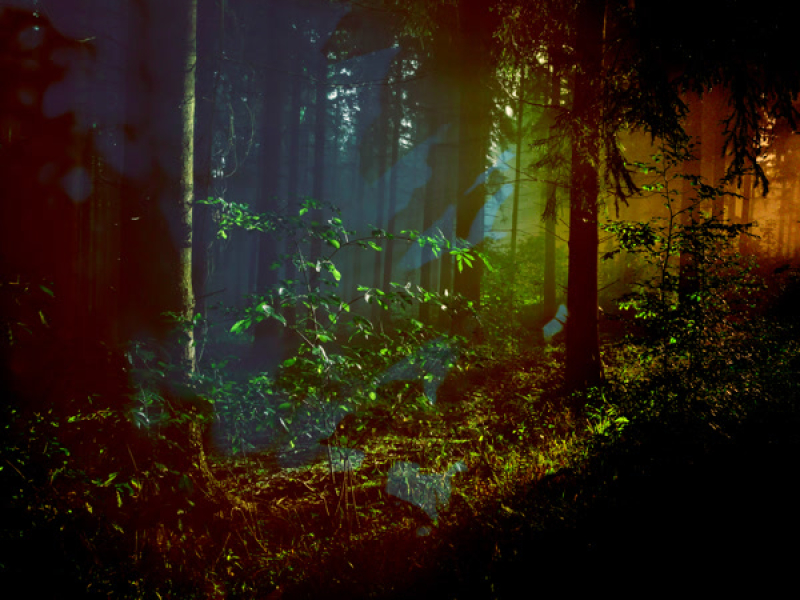 Where the Light Falls (Single)