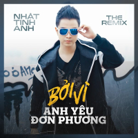 Bởi Vì Anh Yêu Đơn Phương (Remix) (Single)