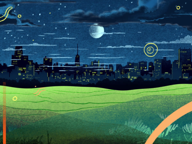 City Lights (Single)