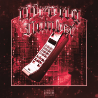 WRONG NUMBER (Single)