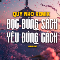Đọc Đúng Sách Yêu Đúng Cách (Quý Nhỏ Remix) (Single)