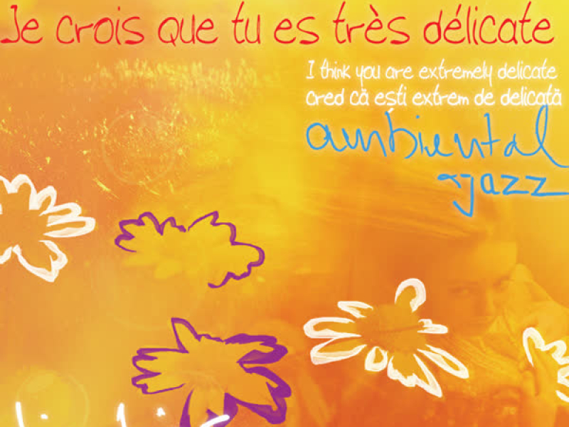 Cred Ca Esti Extrem De Delicata (Single)