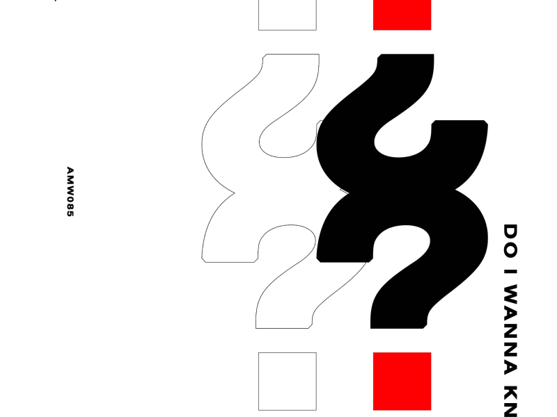 Do I Wanna Know (Single)