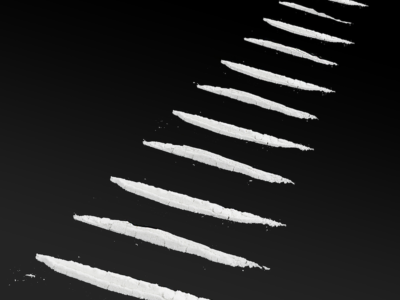 Pussy Drugs Fear (Single)