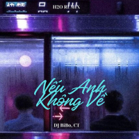 Nếu Anh Không Về (DJ Bibo Remix) (Single)