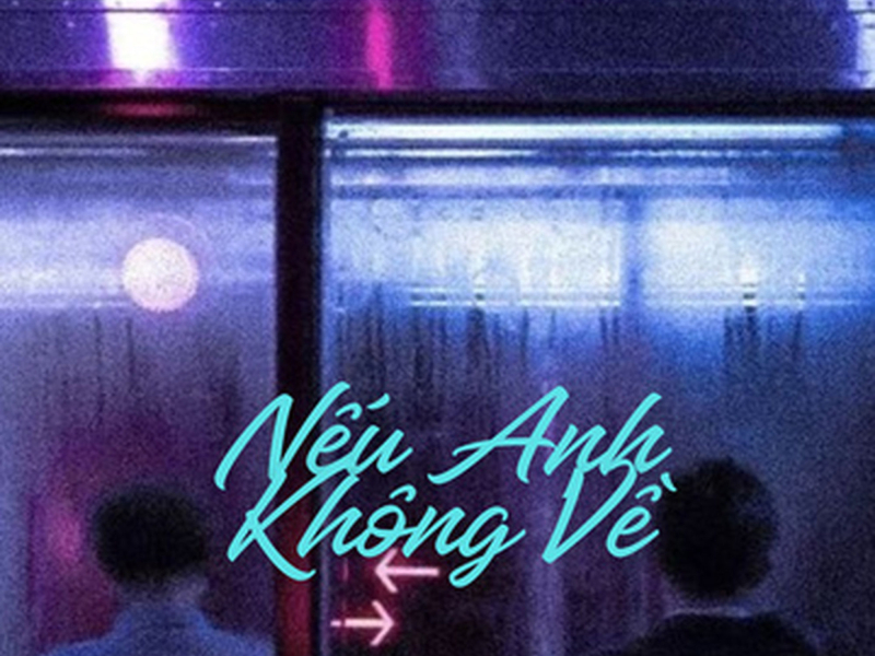 Nếu Anh Không Về (DJ Bibo Remix) (Single)