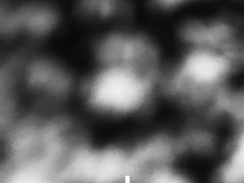 Bubble Chambers (Single)