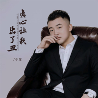 真心让我出了丑 (Djbanan版) (Single)