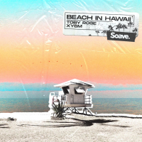 Beach In Hawaii (Single)