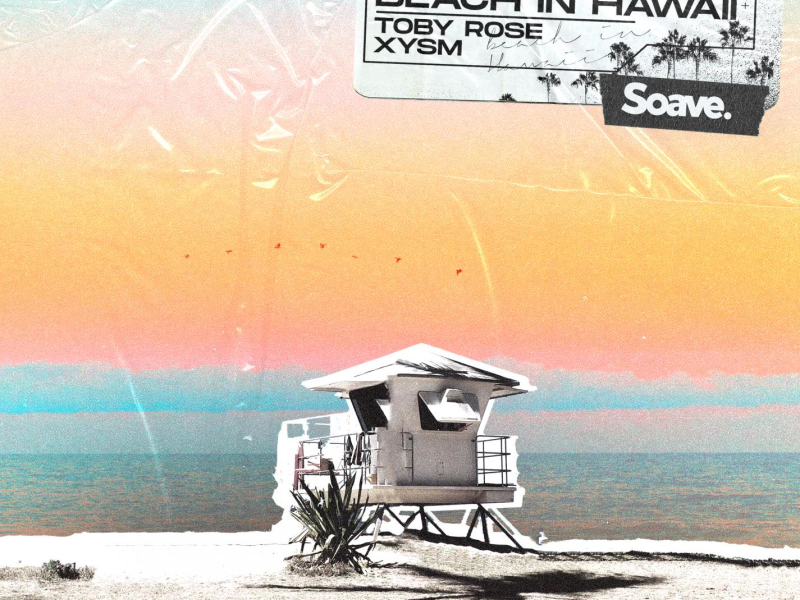 Beach In Hawaii (Single)