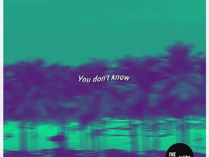 You Don't Know (Single)