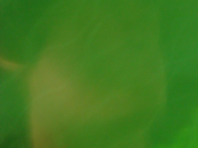 meu ouvido rasgou, tempos emblemáticos (Single)