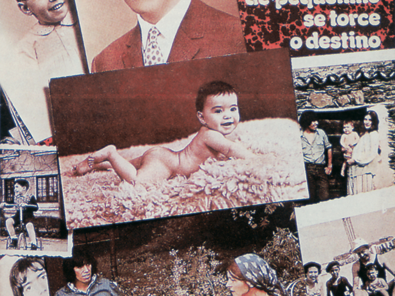 De Pequenino Se Torce O Destino