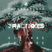 Fractions (Single)