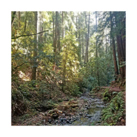 My Favorite Creek (Single)