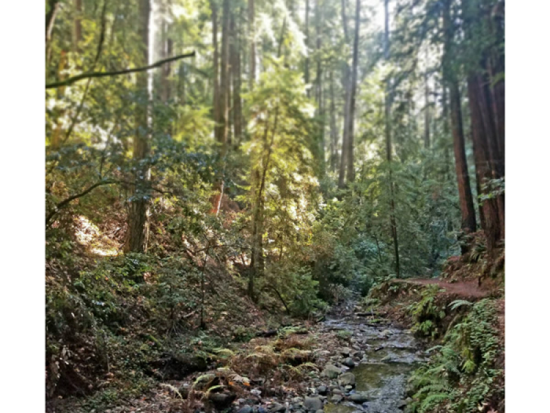 My Favorite Creek (Single)