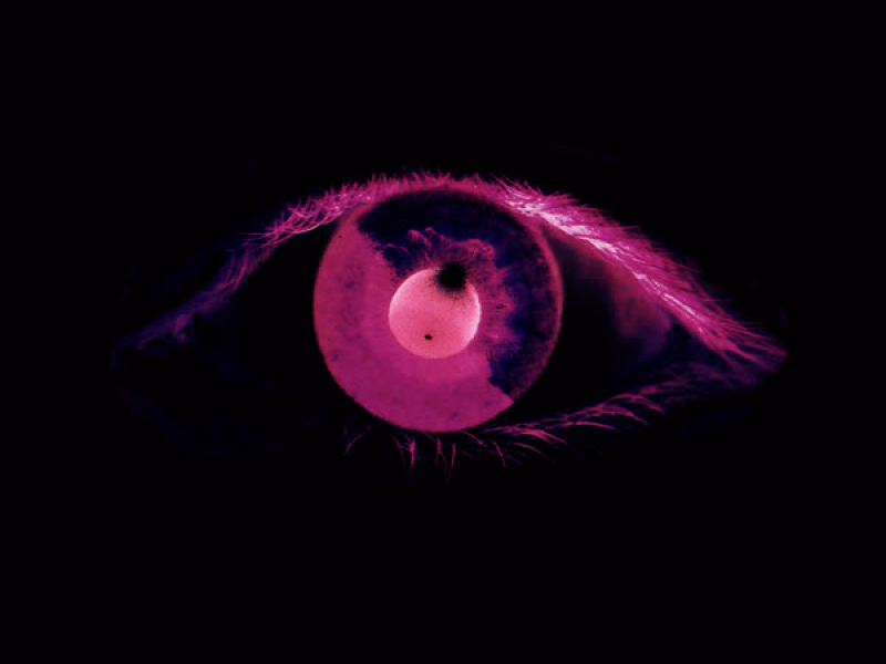 Medo de Mim (Klap Remix) (Single)