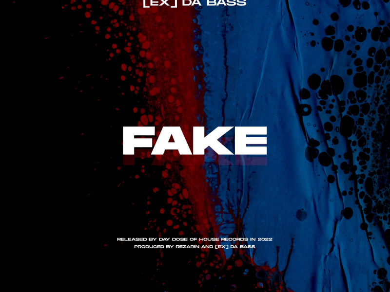 Fake (Single)