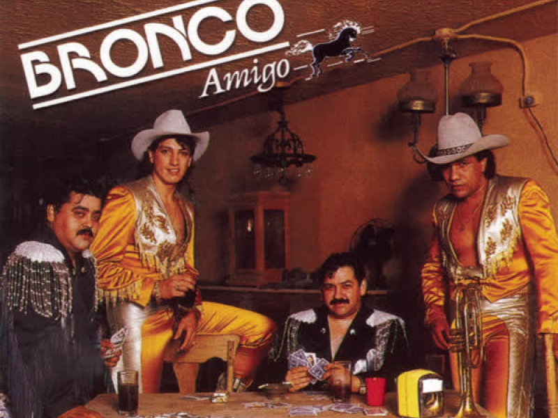 Bronco Amigo