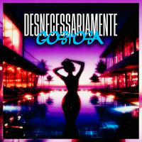 DESNECESSARIAMENTE GOSTOSA (Single)