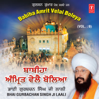 Babiha Amrit Velai Boleya Vol-9 (Single)