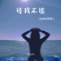 可我不能 (DJ沈念版) (Single)