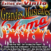 Éxitos Del Vinilo Grandes Musicales