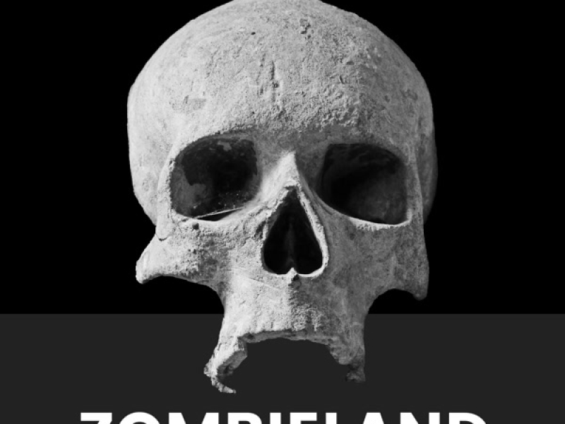 Zombieland (Single)
