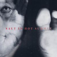 Salt in Hot Summer