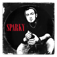 Never Been Better (Single)