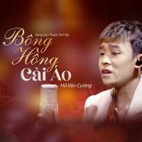Bông Hồng Cài Áo (Single)