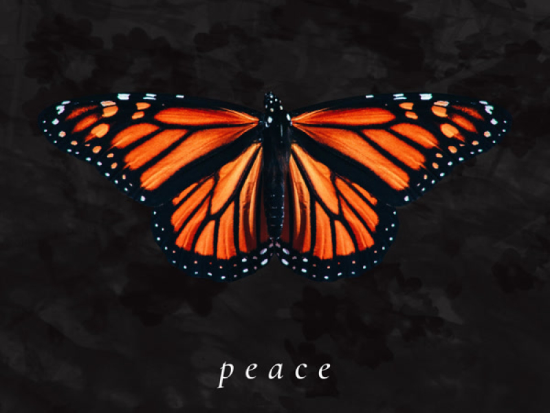 Peace (Single)