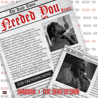 Needed You (Remix) (Single)