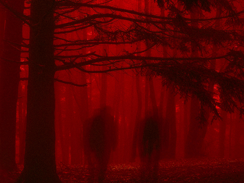 your absence: (slowed versions) (EP)