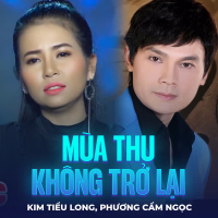 Mùa Thu Không Trở Lại (Single)