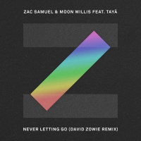 Never Letting Go (David Zowie Remix) (Single)